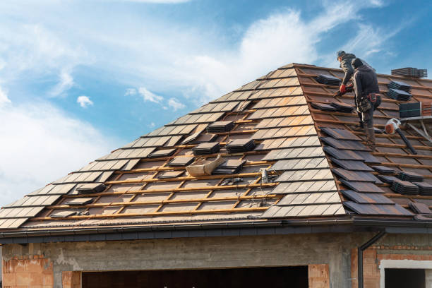 Best Green or Eco-Friendly Roofing Solutions  in Rockford, IL